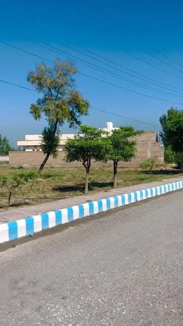 FB_IMG_1734460202334