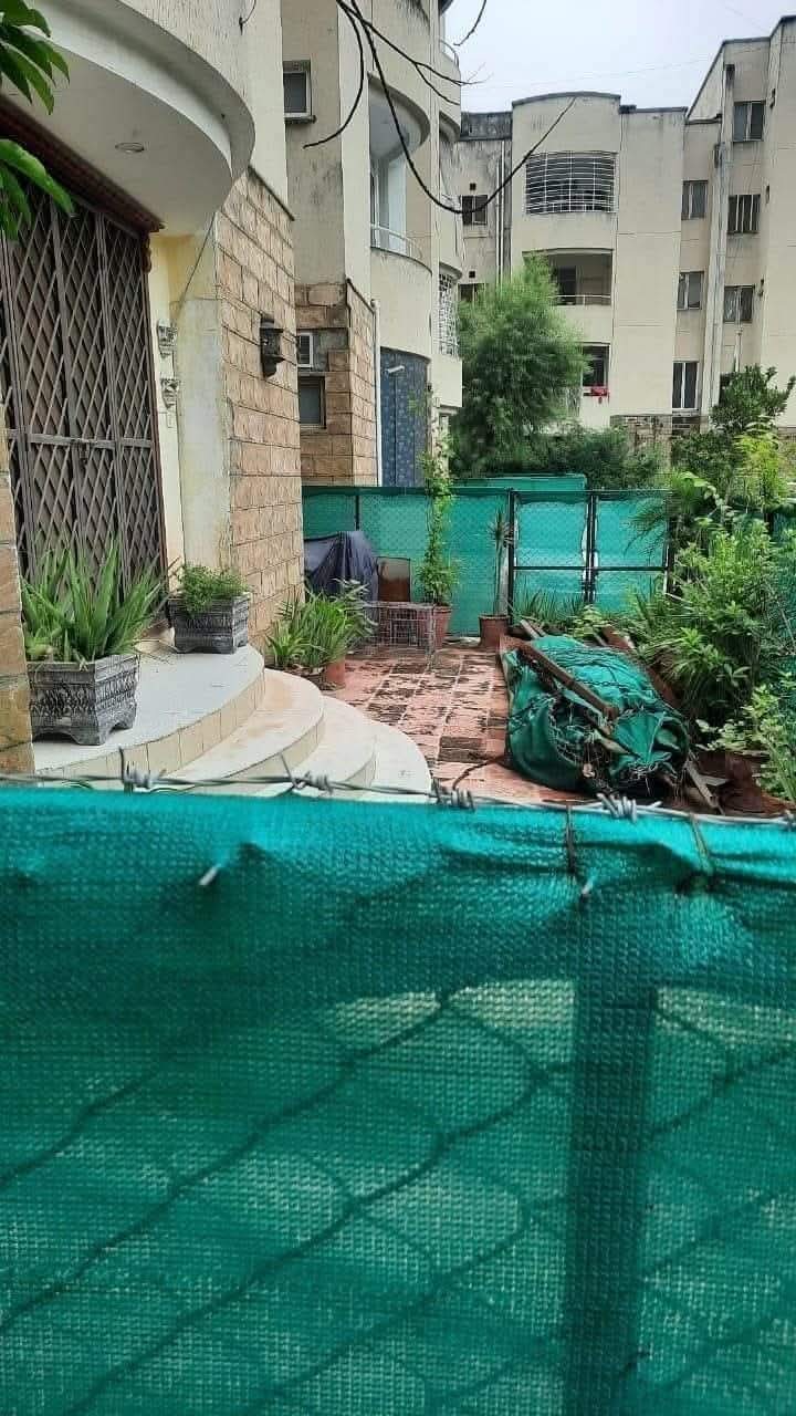 FB_IMG_1734576741981