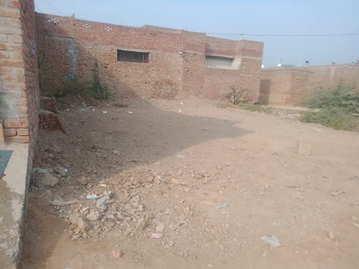 FB_IMG_1735025800036