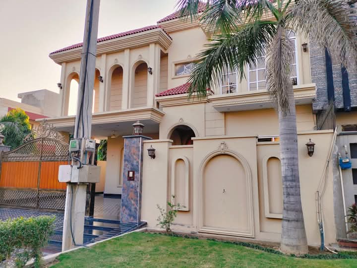 FB_IMG_1735067280435