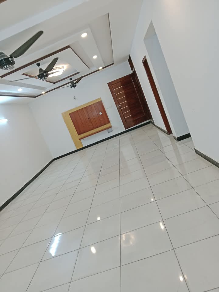 FB_IMG_1735282556986