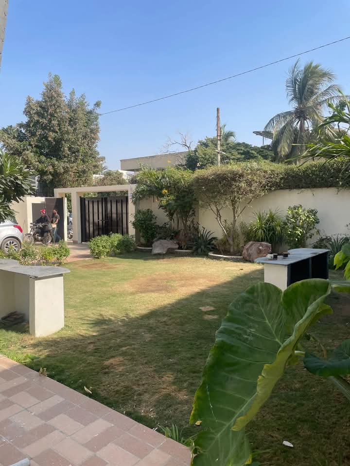 FB_IMG_1735382974908