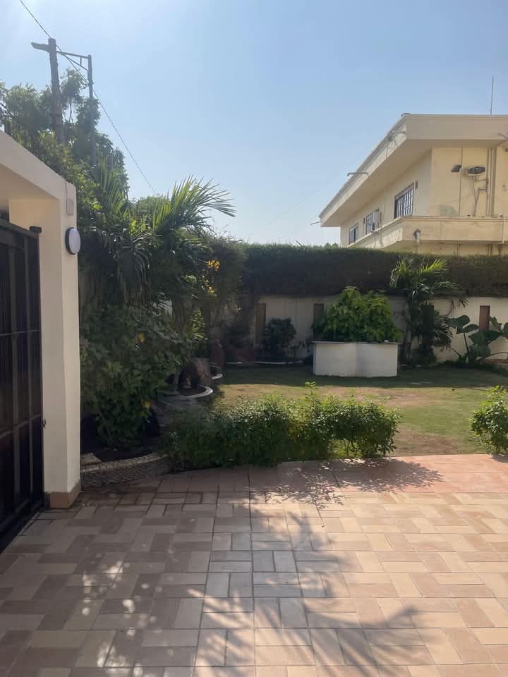 FB_IMG_1735382978481