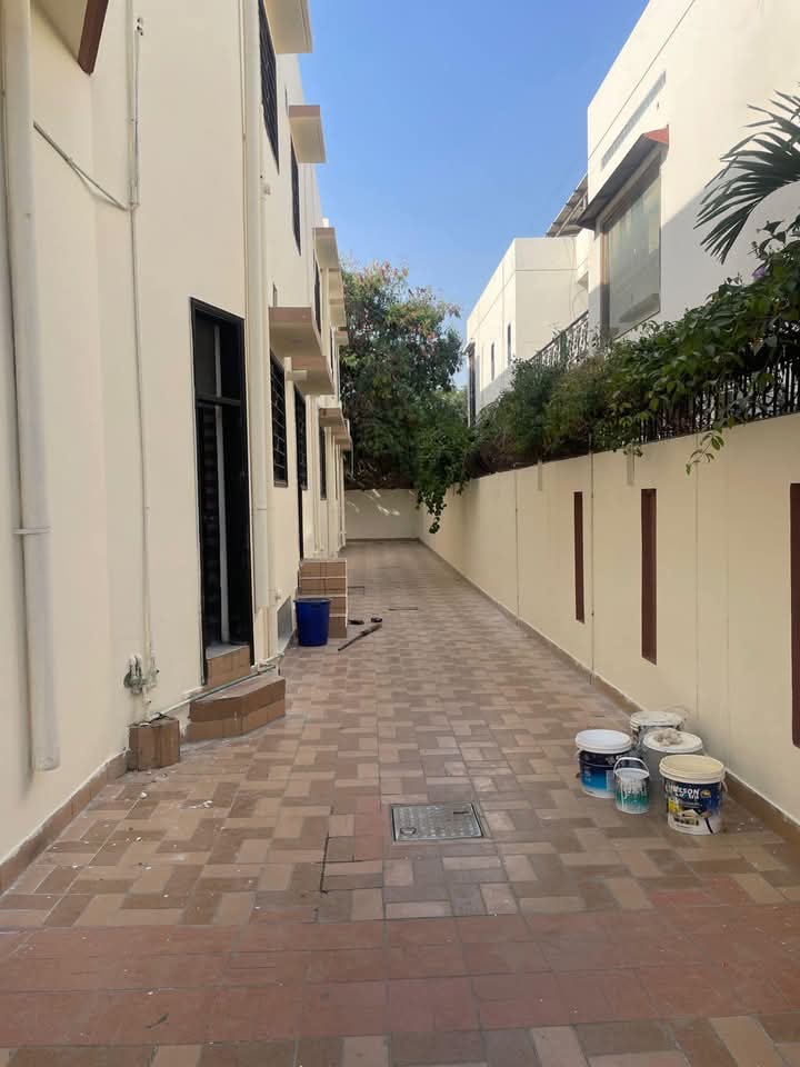 FB_IMG_1735382980421