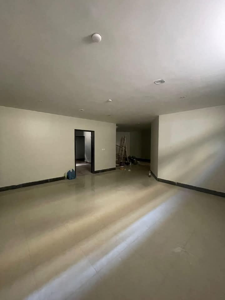 FB_IMG_1735383008374