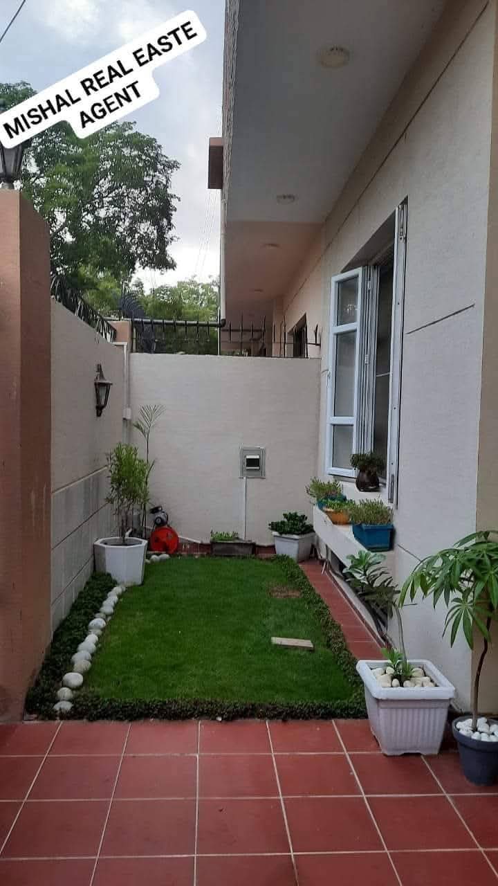 FB_IMG_1735407423324