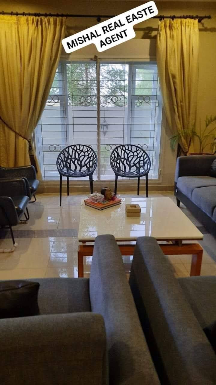 FB_IMG_1735407425464