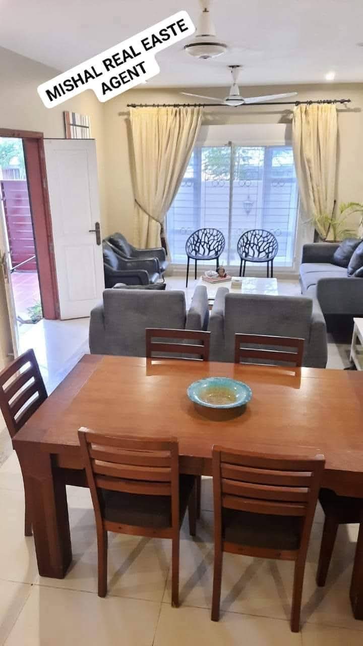 FB_IMG_1735407441702