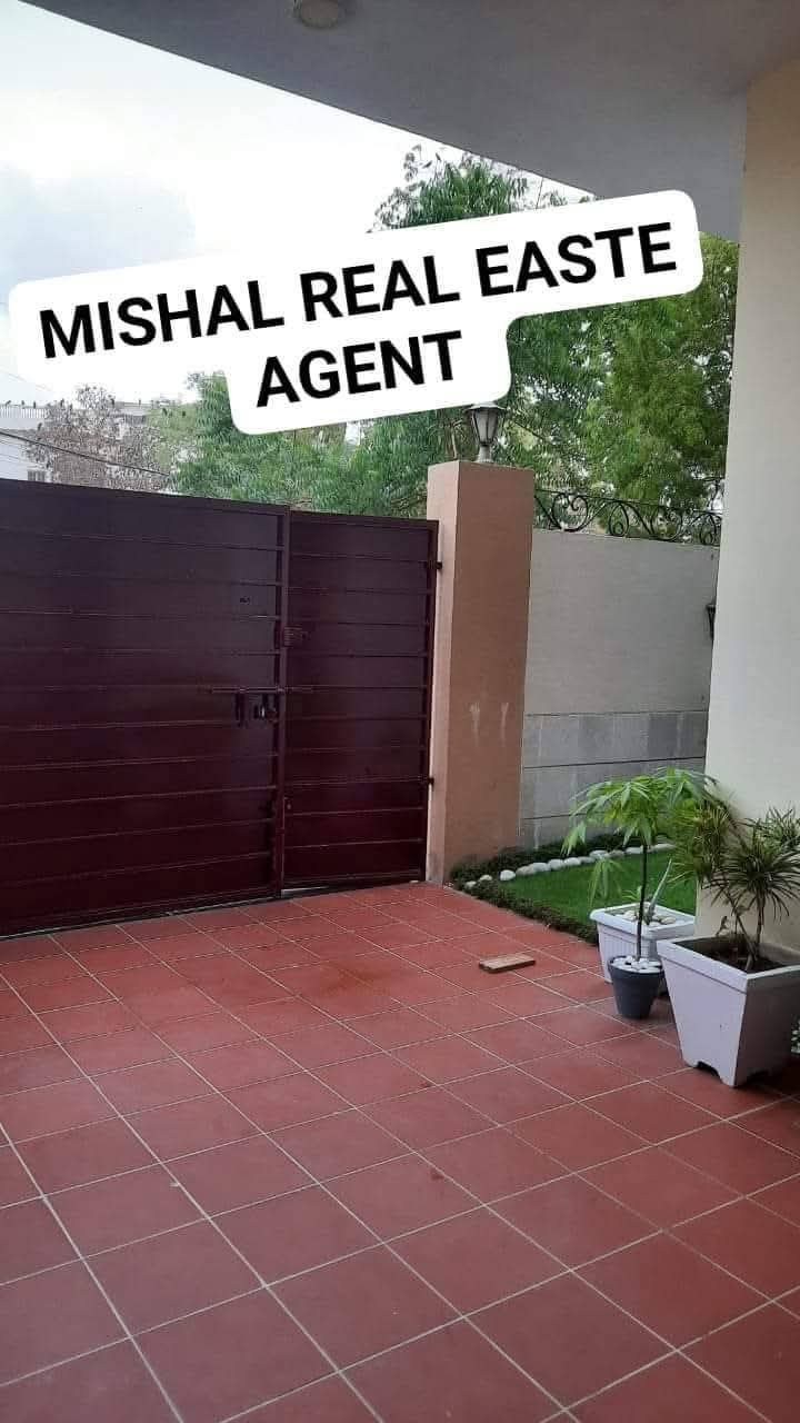 FB_IMG_1735407446548