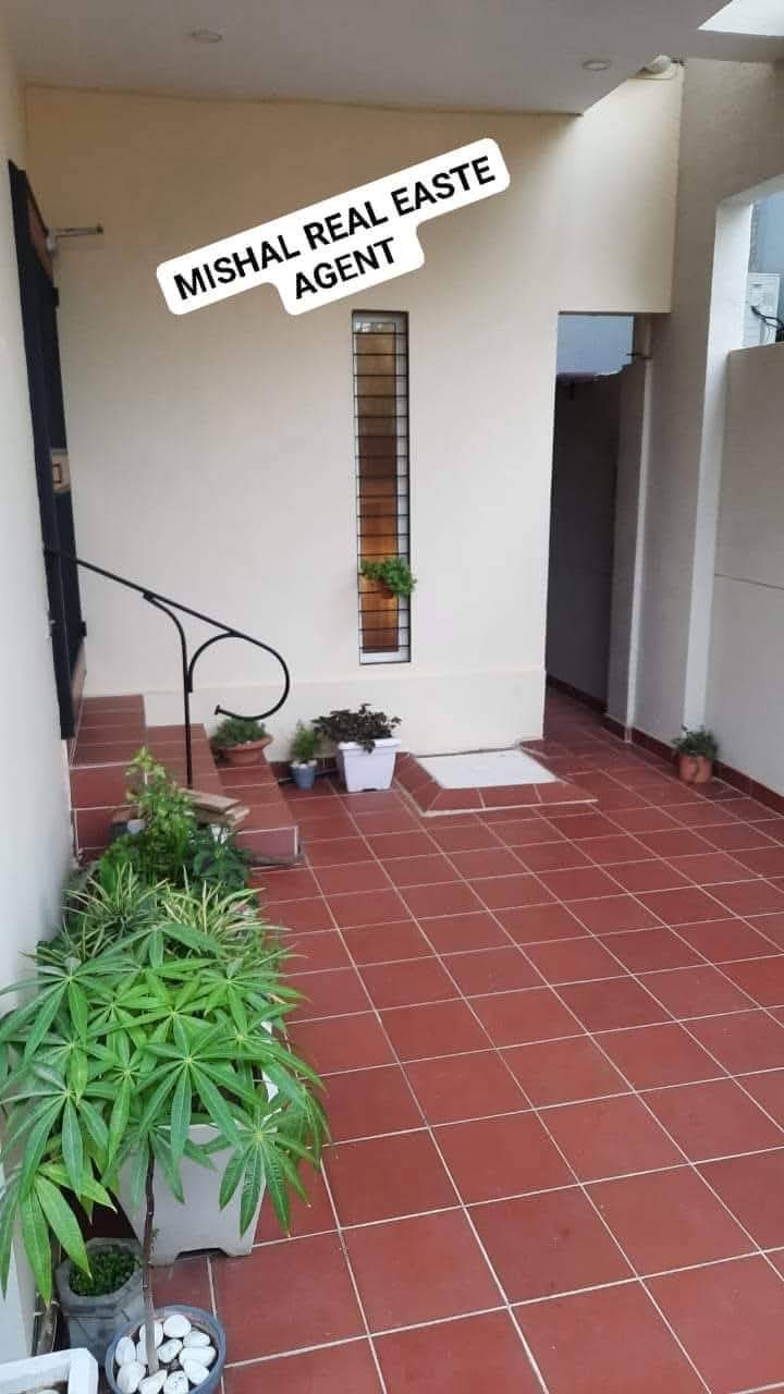 FB_IMG_1735407457693