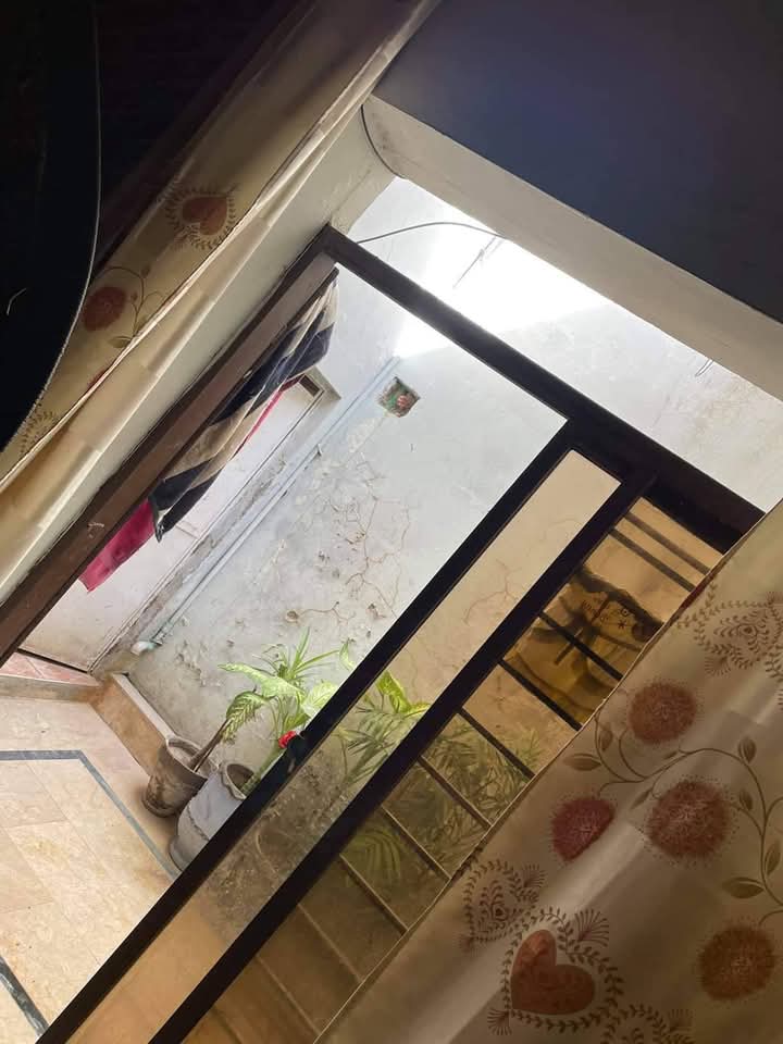 FB_IMG_1735546908975