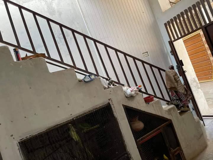 FB_IMG_1735546911413