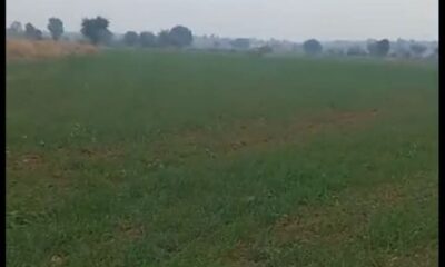 FB_IMG_1735566541059