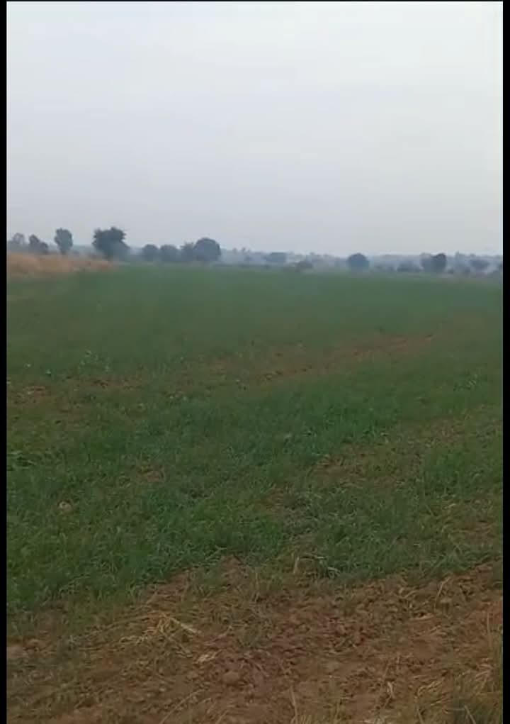 FB_IMG_1735566541059