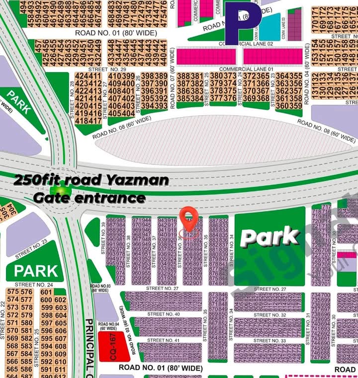 WhatsApp-Image-2024-12-19-at-22.13.44_86aece5e