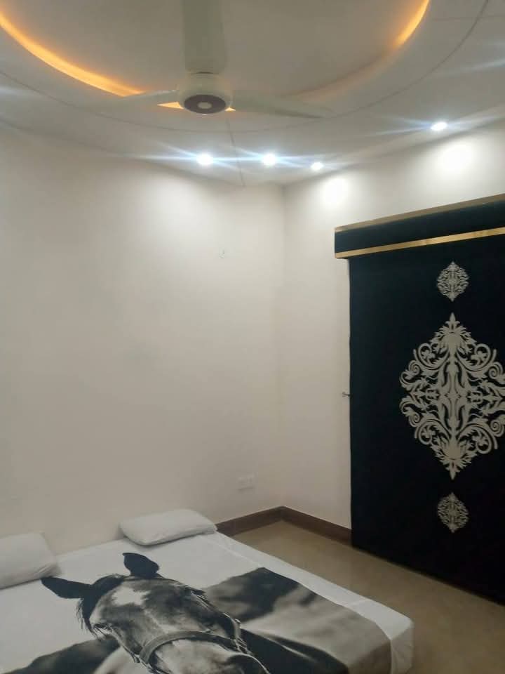 FB_IMG_1735703313311