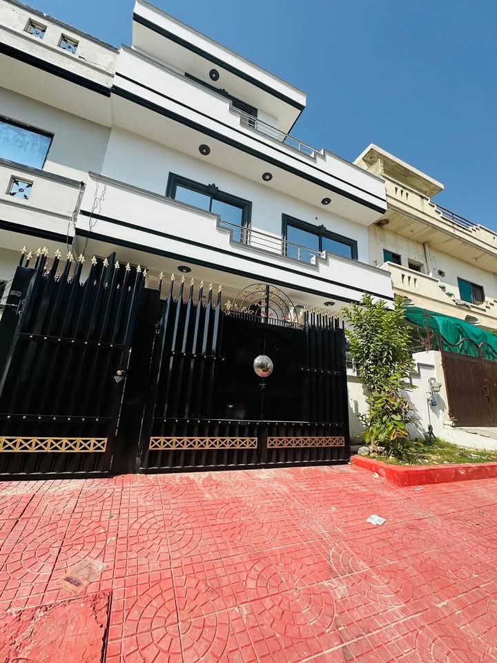 FB_IMG_1735739717172