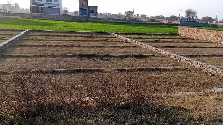 FB_IMG_1735881514251