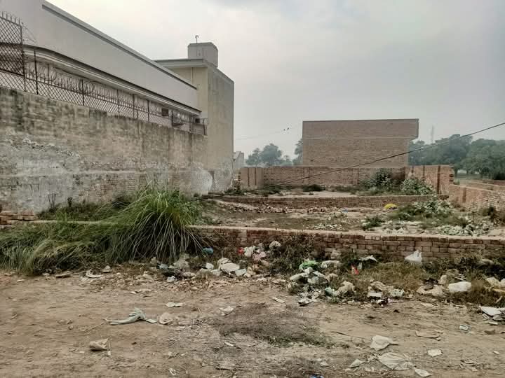 FB_IMG_1735962719569