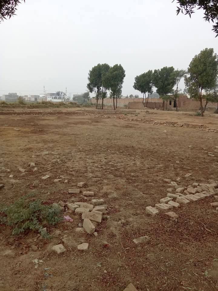 FB_IMG_1735965431069