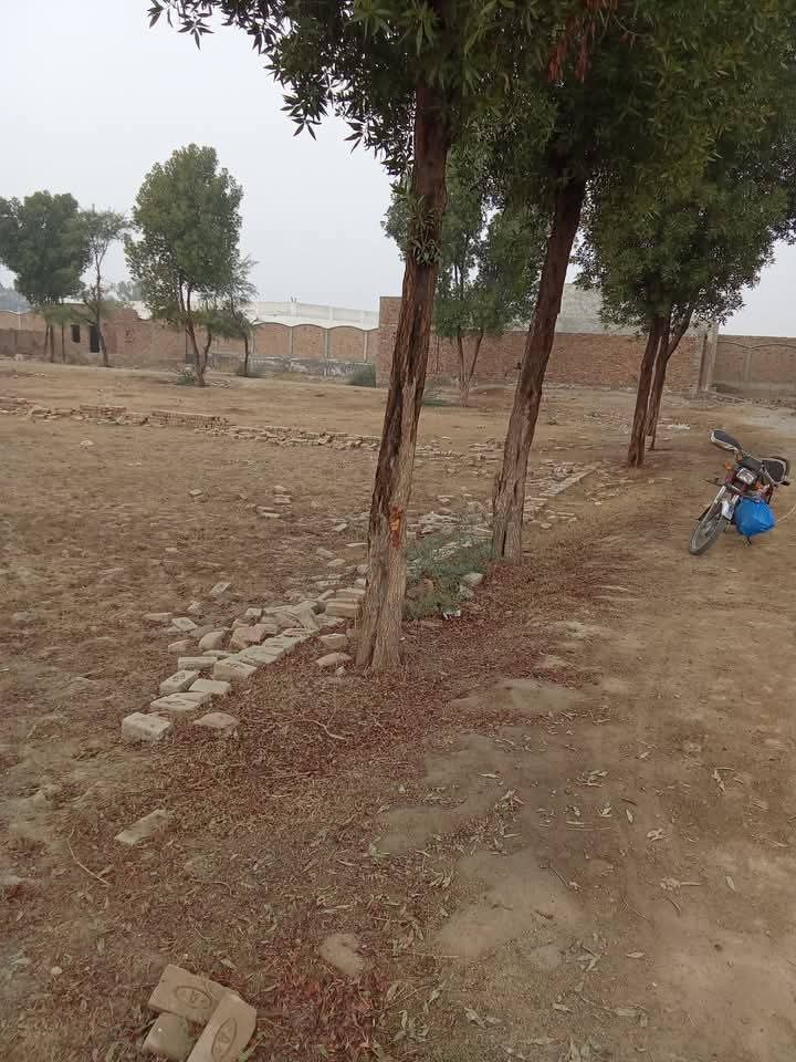 FB_IMG_1735965432887