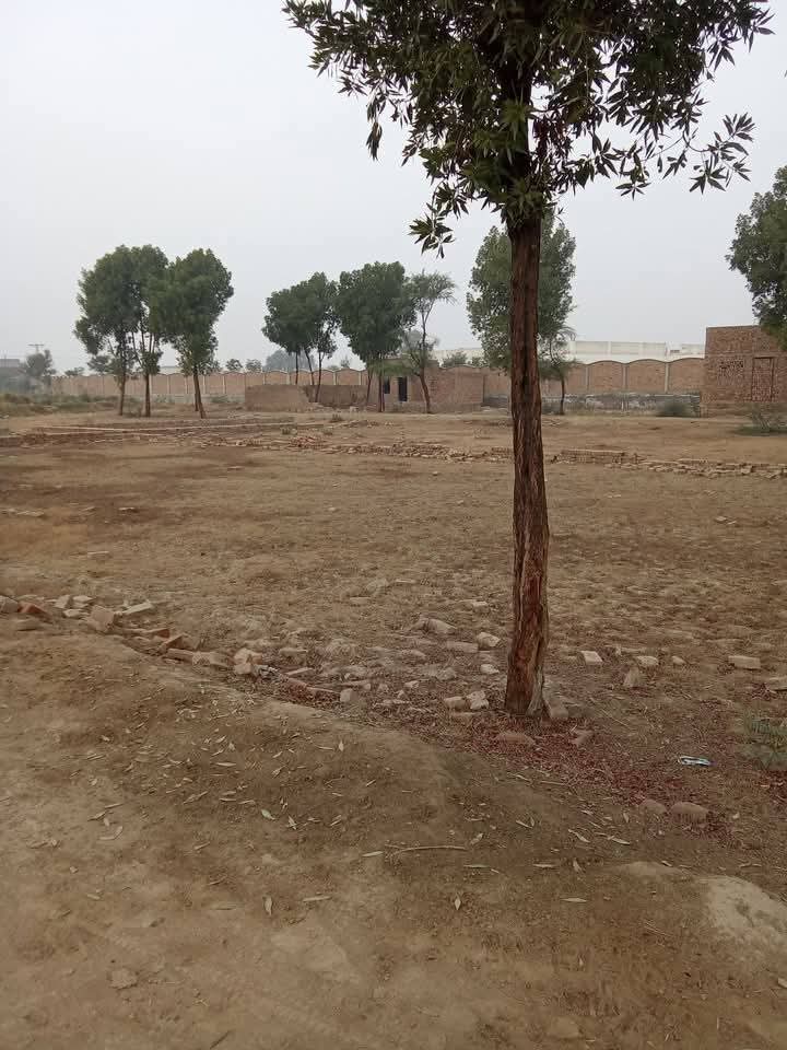 FB_IMG_1735965435126