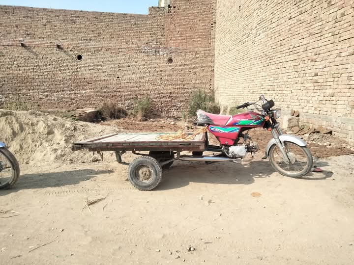 FB_IMG_1735968992747