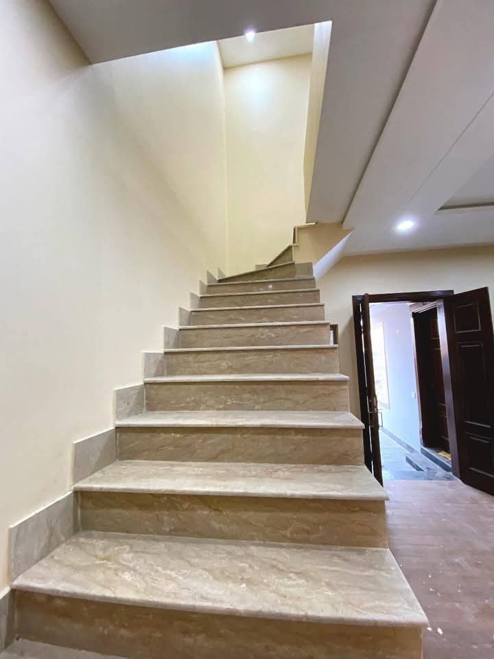 FB_IMG_1735974778048