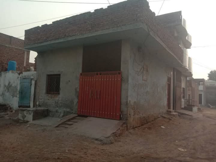 FB_IMG_1735976937369