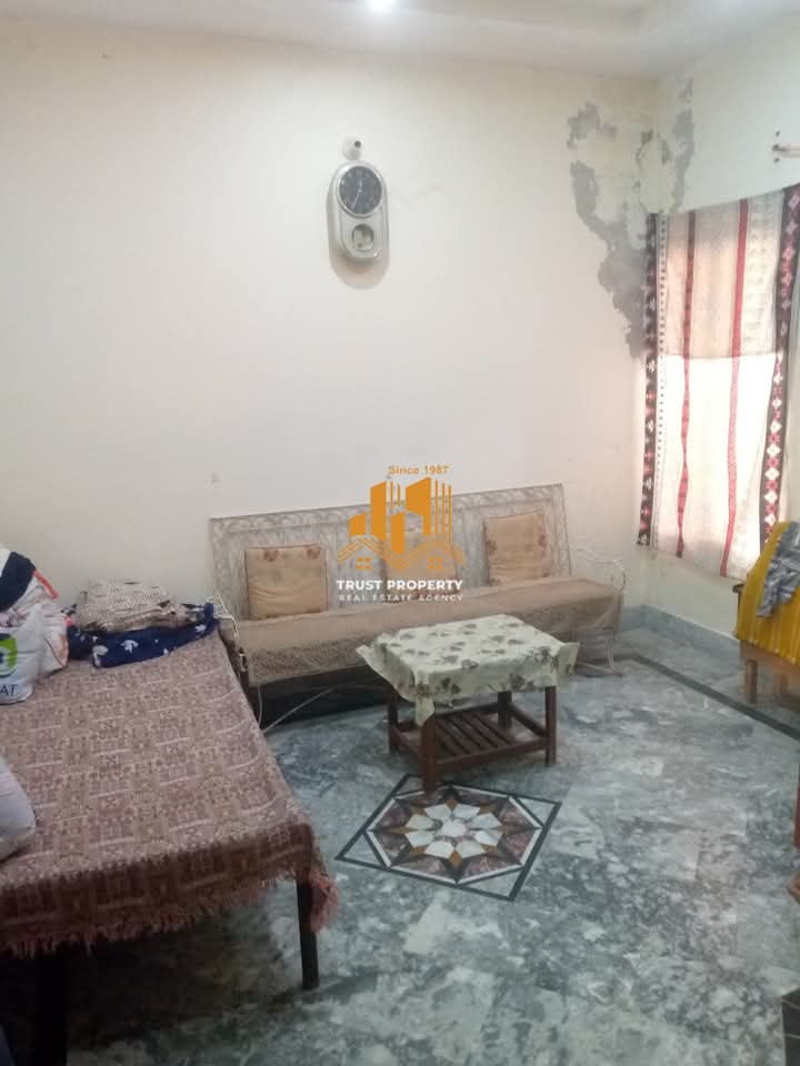 FB_IMG_1735987272404