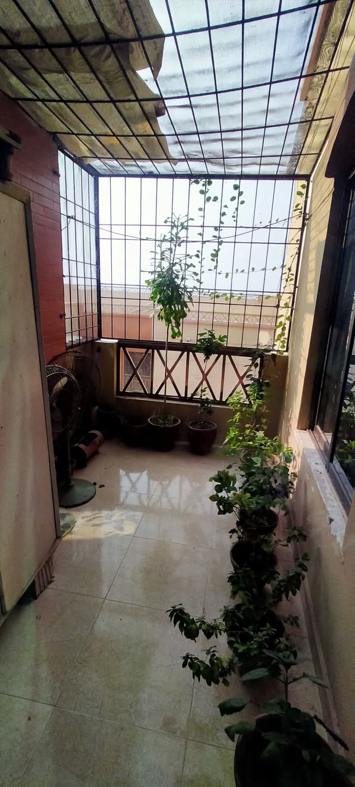 FB_IMG_1736134177757