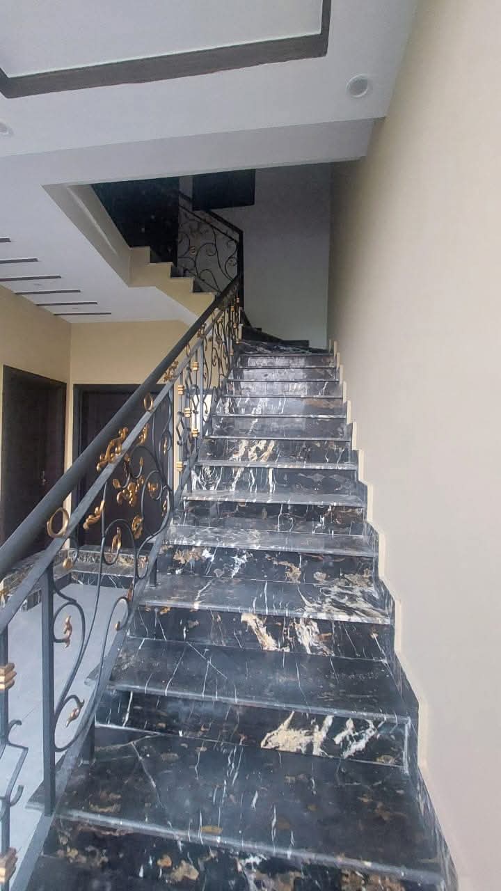 FB_IMG_1736321310273