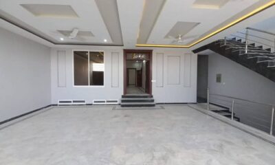 FB_IMG_1736919709236