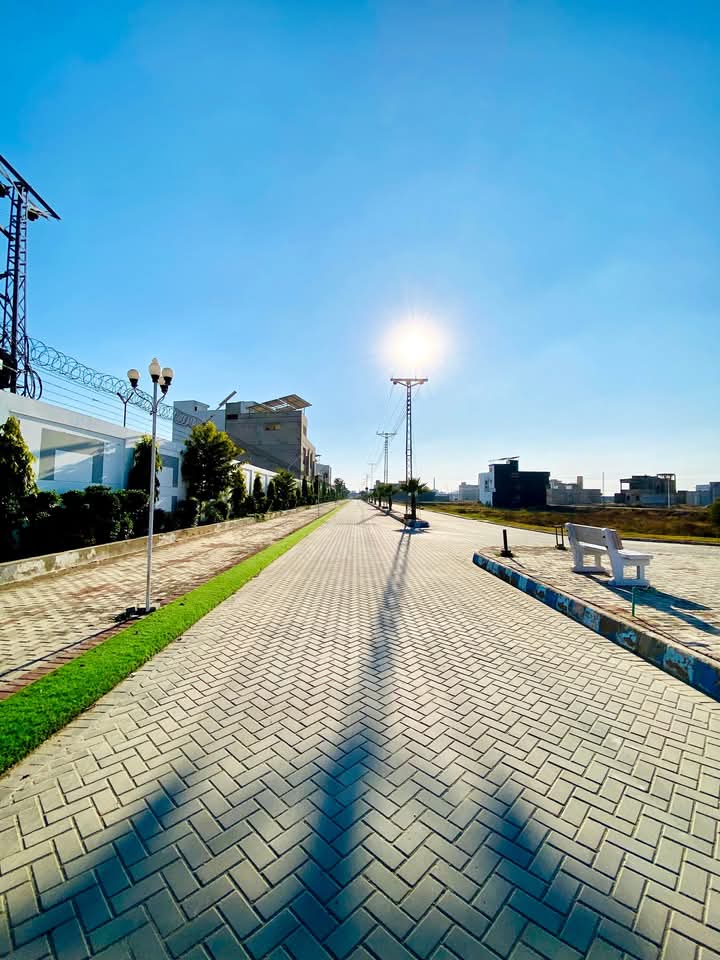 FB_IMG_1737008001620