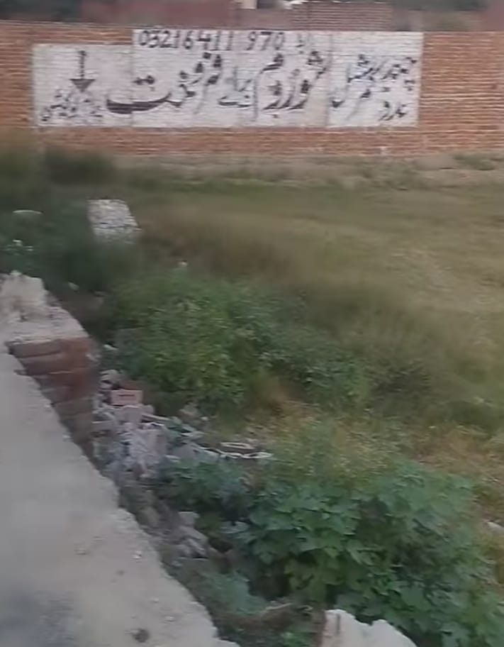 WhatsApp-Image-2024-12-31-at-23.09.25_bbdd0cb4