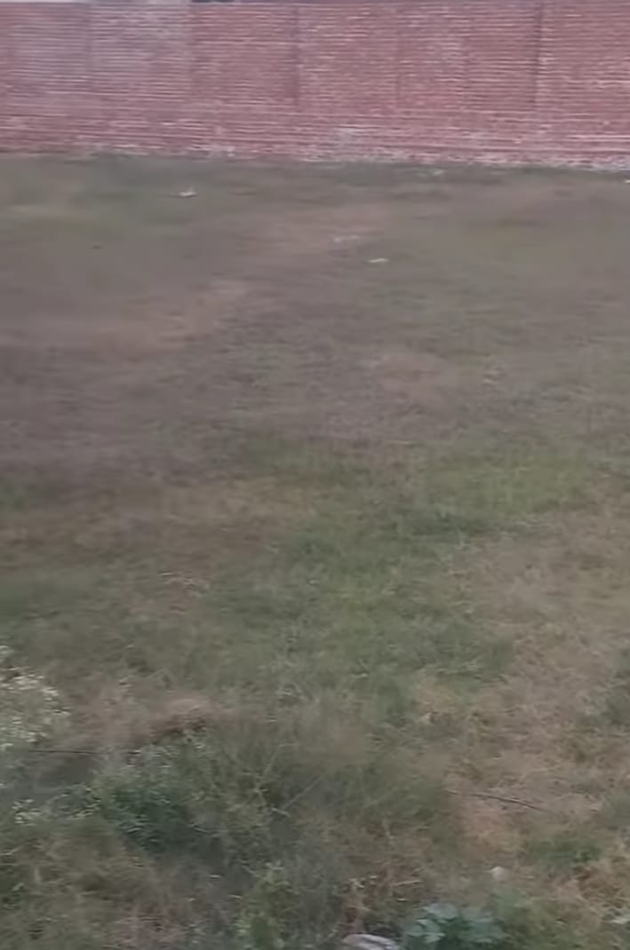 WhatsApp-Image-2024-12-31-at-23.09.25_c6795eee