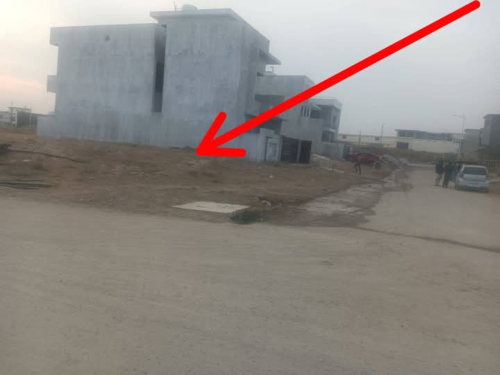 WhatsApp-Image-2025-01-01-at-23.57.33_e01f9cf7