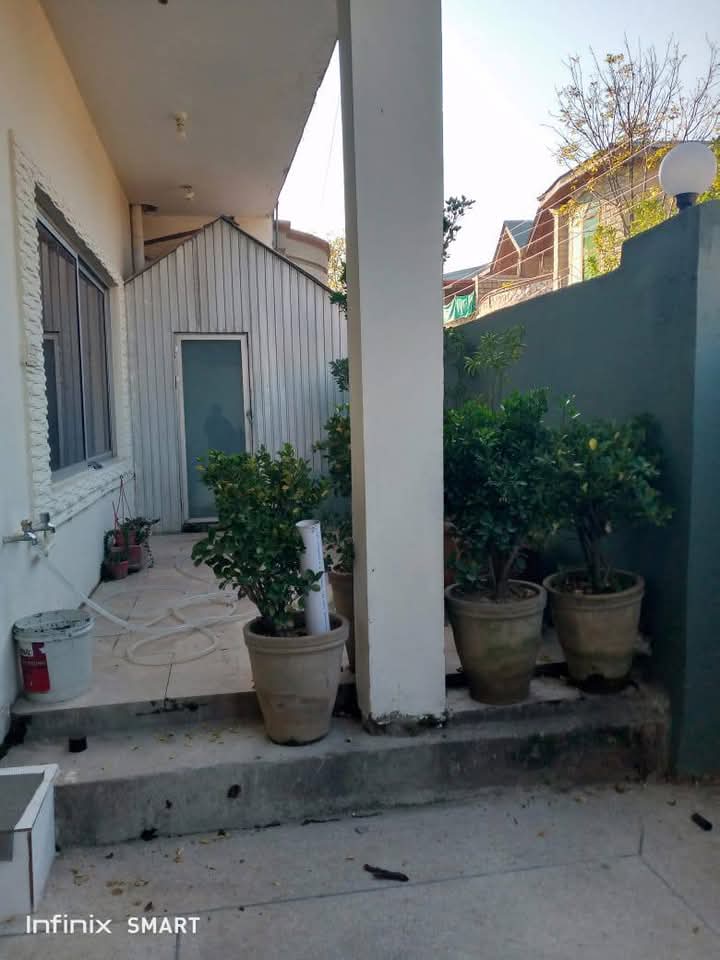 FB_IMG_1740208551514