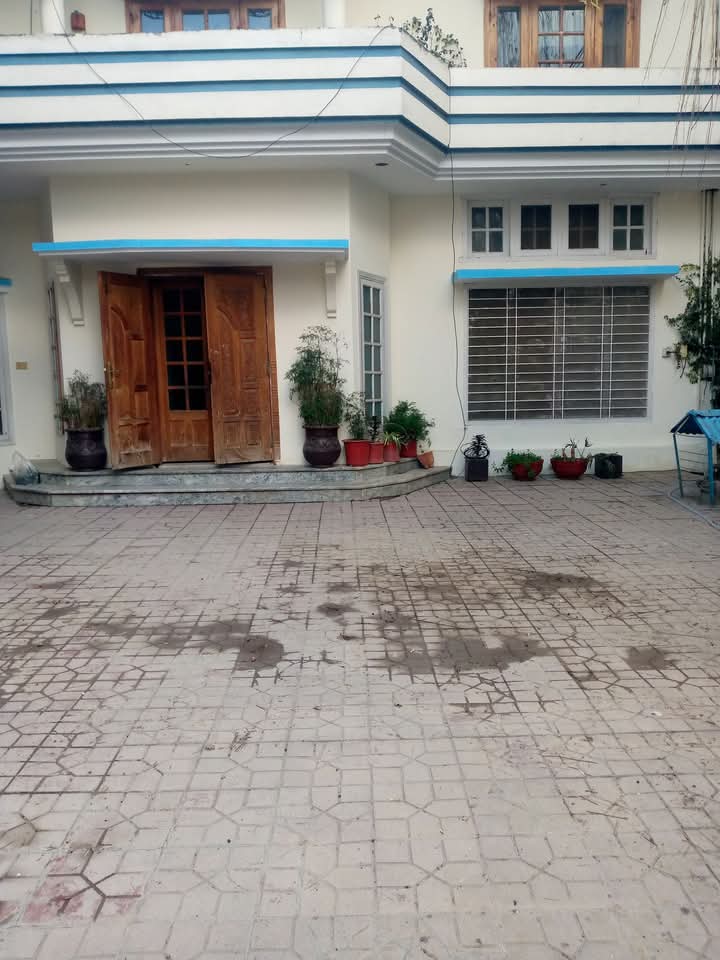 FB_IMG_1740208909307