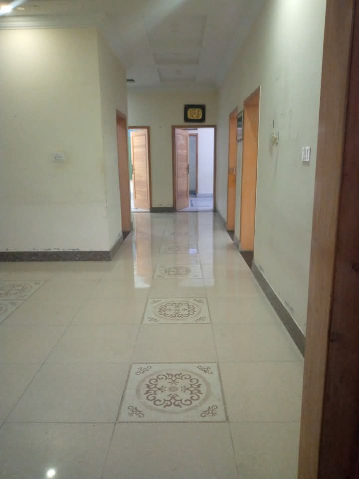 FB_IMG_1740210187527