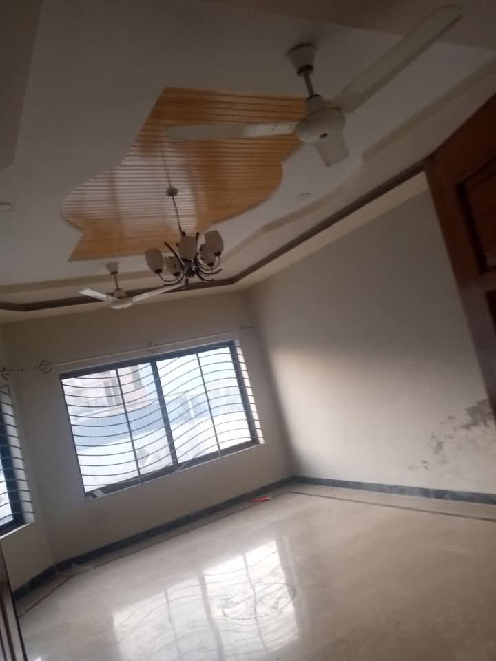 FB_IMG_1740210640505