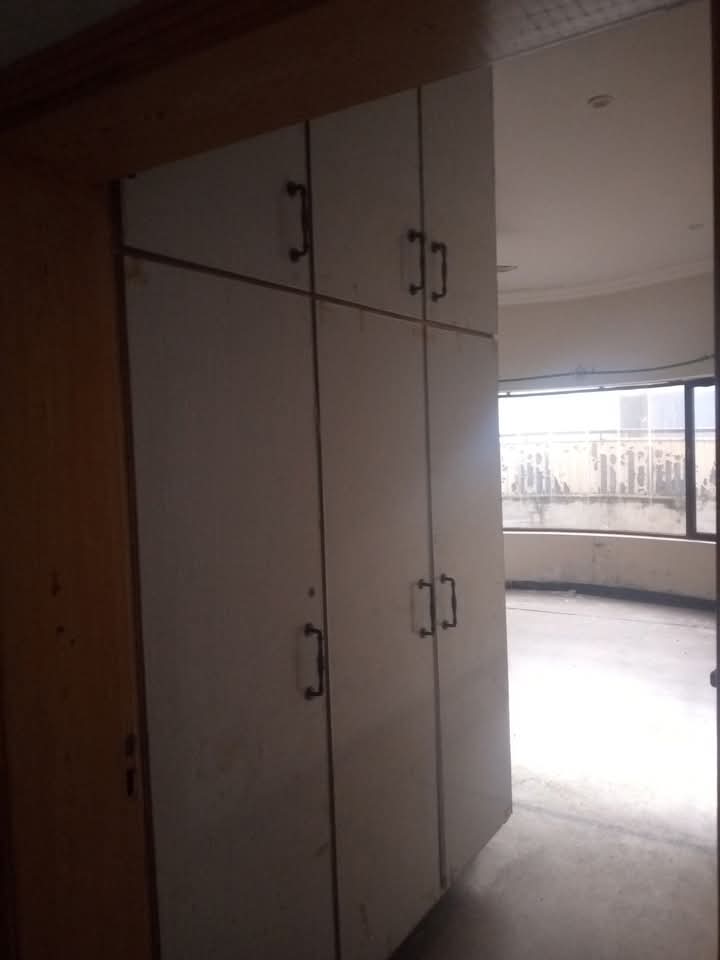 FB_IMG_1740210644282