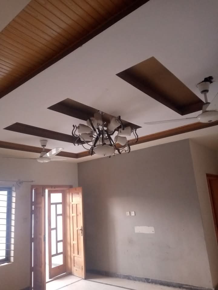 FB_IMG_1740210646271