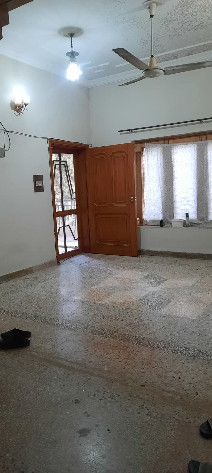 FB_IMG_1740395647955