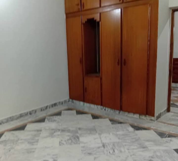 FB_IMG_1740396245188