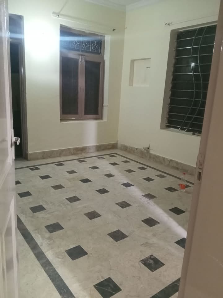 FB_IMG_1740396779577