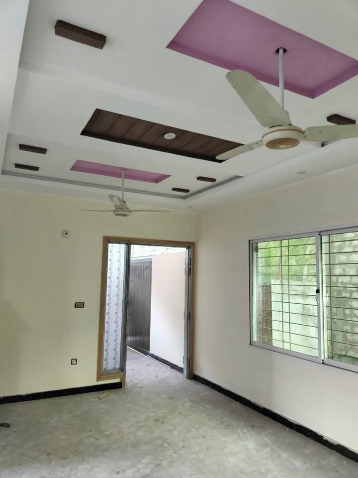 FB_IMG_1740453358620