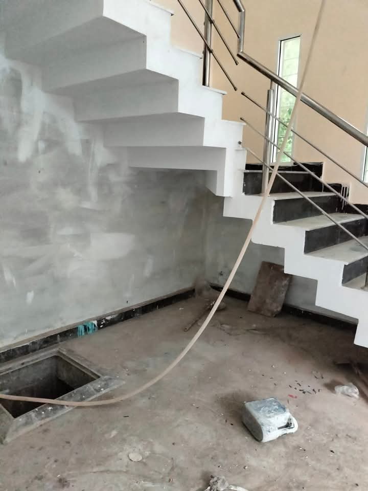 FB_IMG_1740453370462