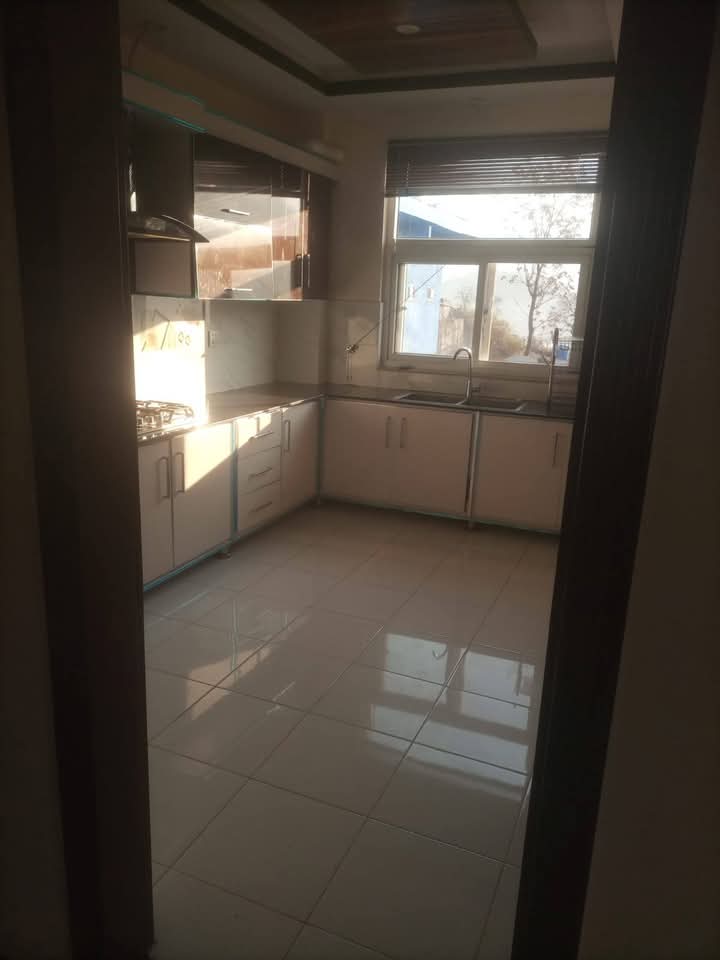 FB_IMG_1740455013549