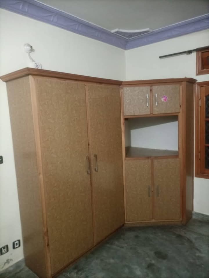 FB_IMG_1740455357739